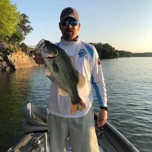 Meet your Posher, Sandy